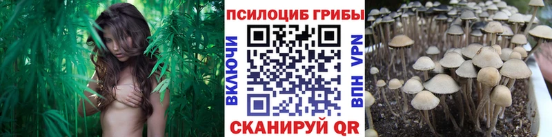 Галлюциногенные грибы Cubensis  мега сайт  Фурманов 