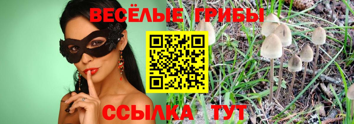 Фурманов  наркота  Галлюциногенные грибы мицелий  Вход с VPN  Псилоцибиновые грибы MAGIC MUSHROOMS 