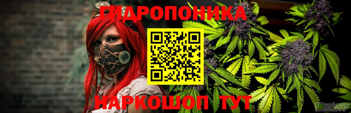 Бошки марихуана Bruce Banner Фурманов
